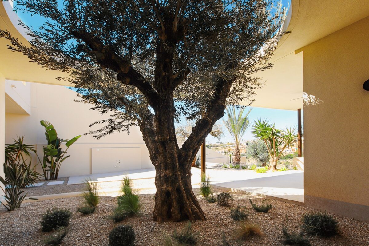 4-Bedroom Luxury Villa, La Escuera, San Fulgencio — Key Ready &mdash; photo 23